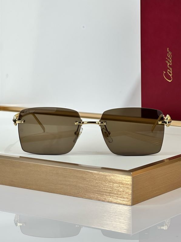 Окуляри сонцезахисні CT0545S фото 7