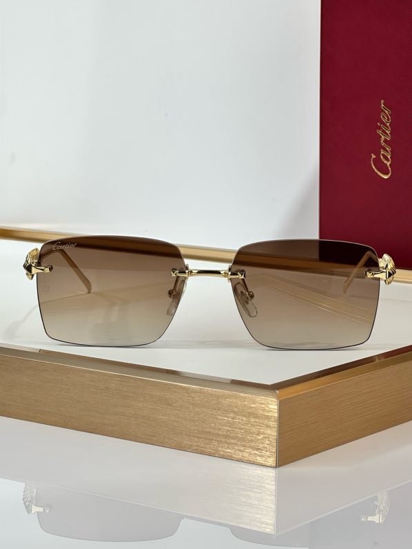 Окуляри сонцезахисні CT0545S фото 8