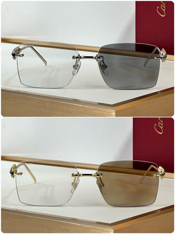 Окуляри сонцезахисні CT0545S фото 9