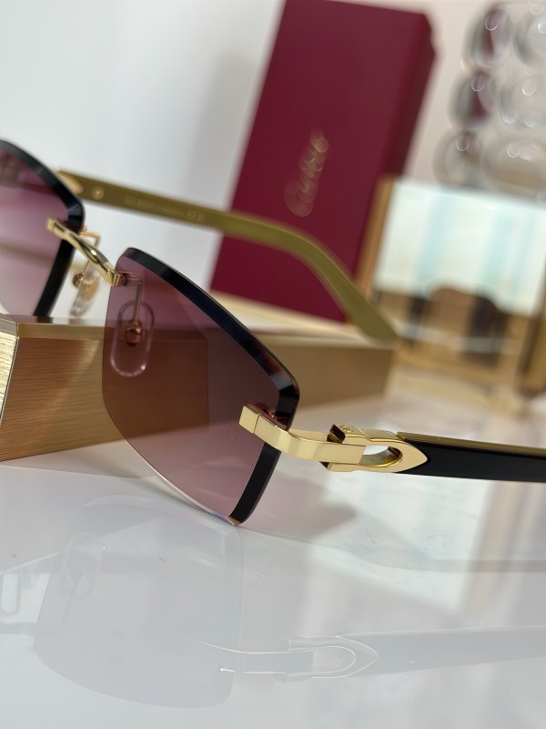 Очки солнцезащитные CT0582S фото 3