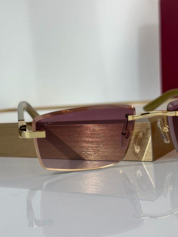 Очки солнцезащитные CT0582S фото 5