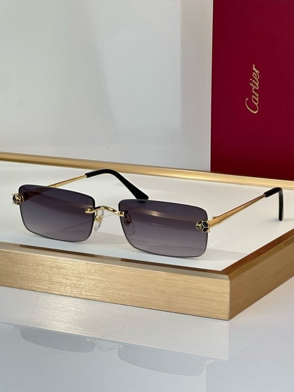 Окуляри сонцезахисні CT0906S