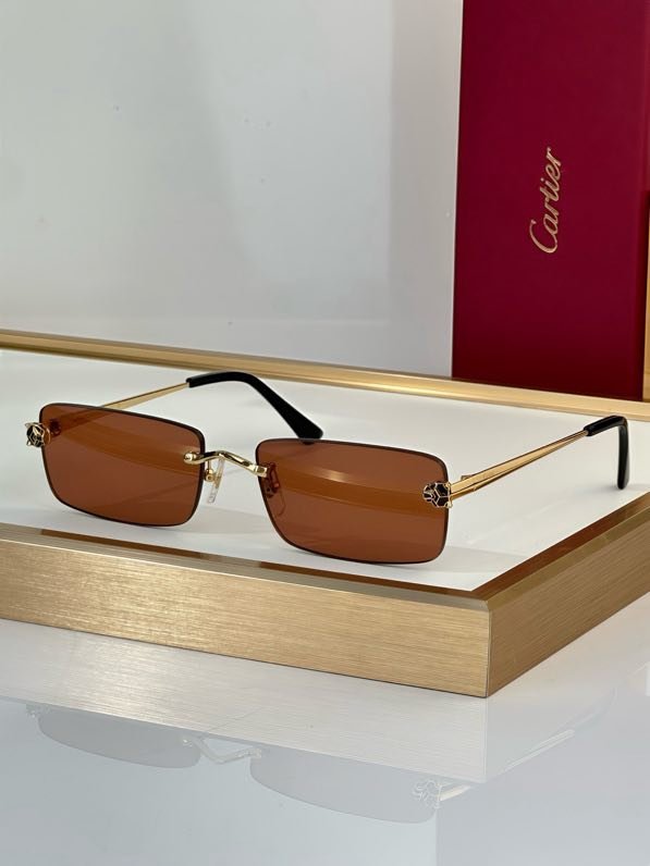 Окуляри сонцезахисні CT0906S фото 2