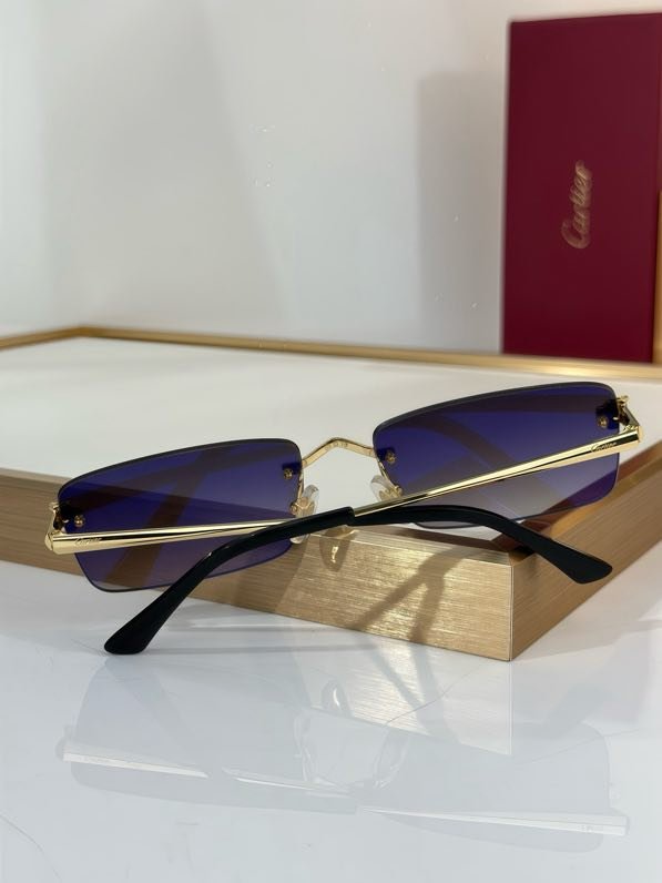 Окуляри сонцезахисні CT0906S фото 2