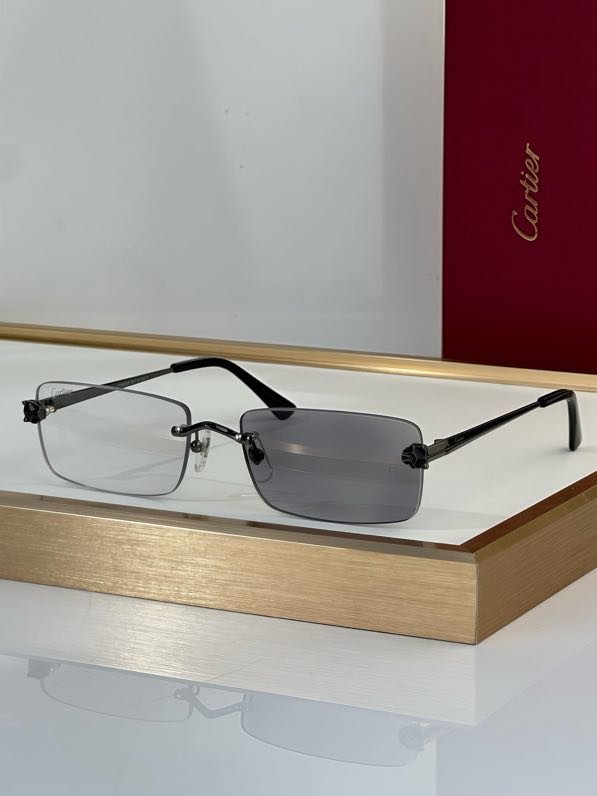 Окуляри сонцезахисні CT0906S фото 3