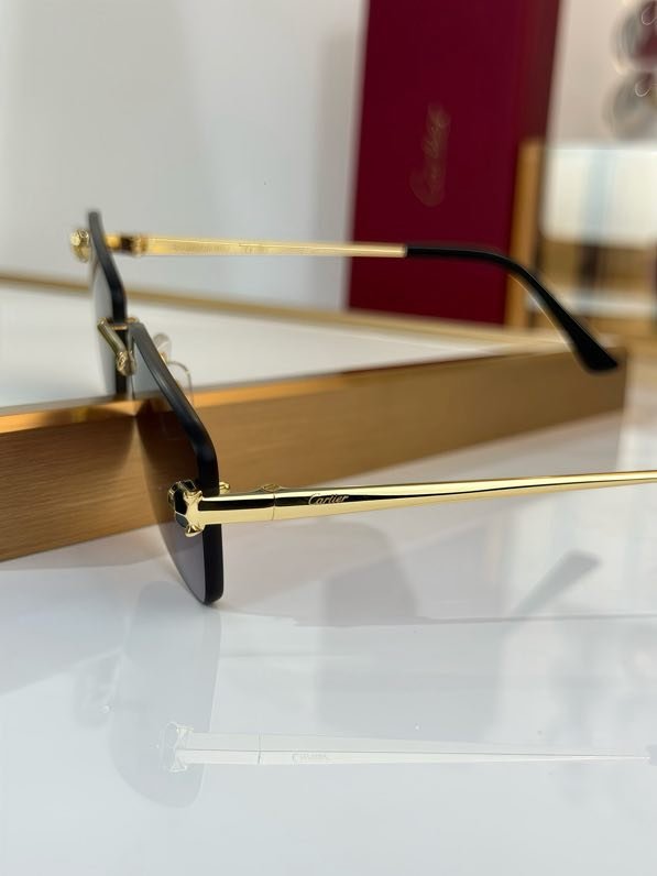 Окуляри сонцезахисні CT0906S фото 3