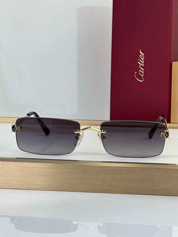 Окуляри сонцезахисні CT0906S фото 4