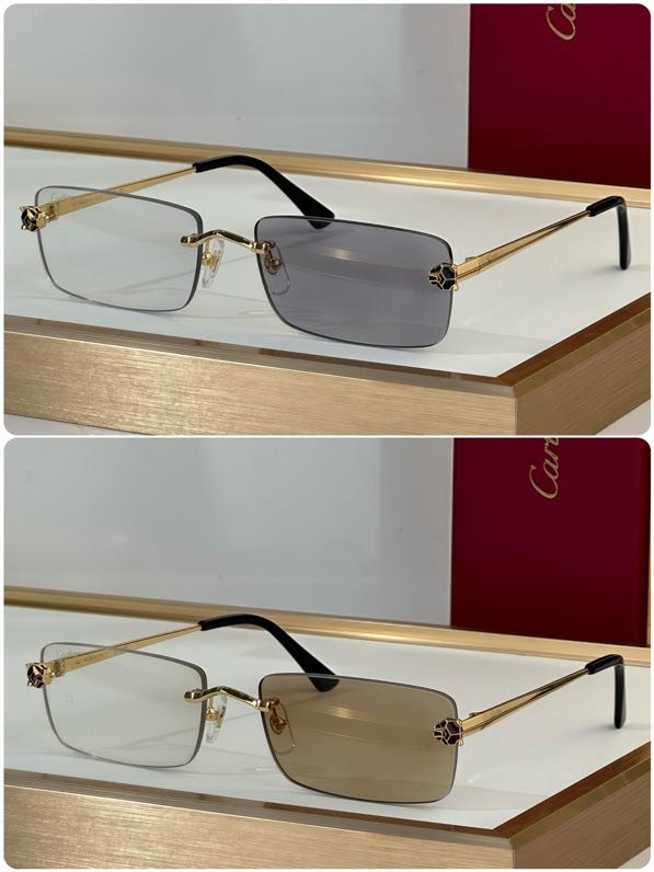 Окуляри сонцезахисні CT0906S фото 5