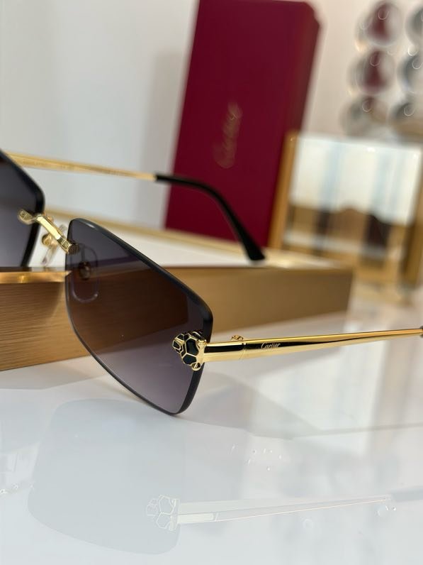 Окуляри сонцезахисні CT0906S фото 7