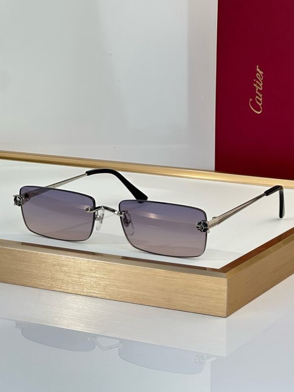 Окуляри сонцезахисні CT0906S фото 8