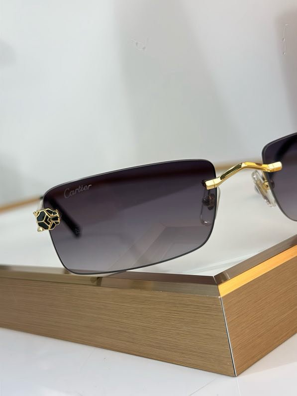 Окуляри сонцезахисні CT0906S фото 8