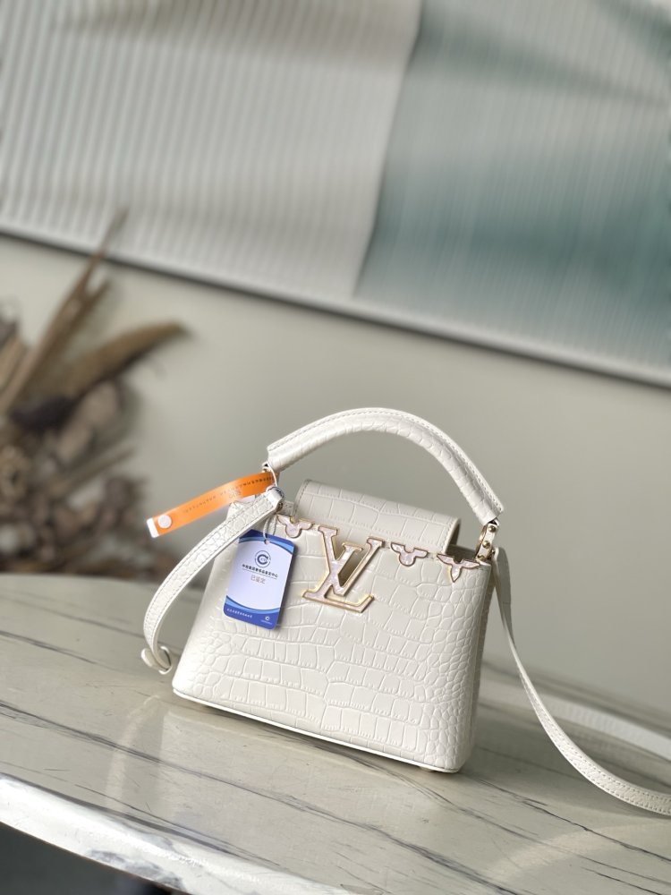 A bag Capucines 21 cm