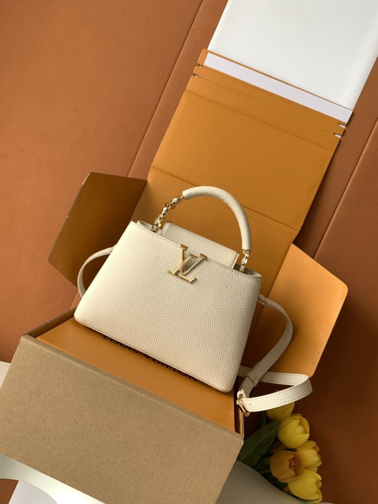 A bag Capucines BB 27 cm