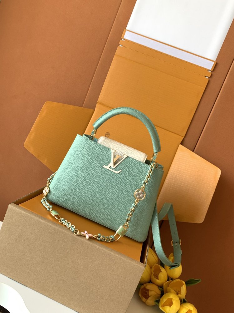 A bag Capucines BB 27 cm