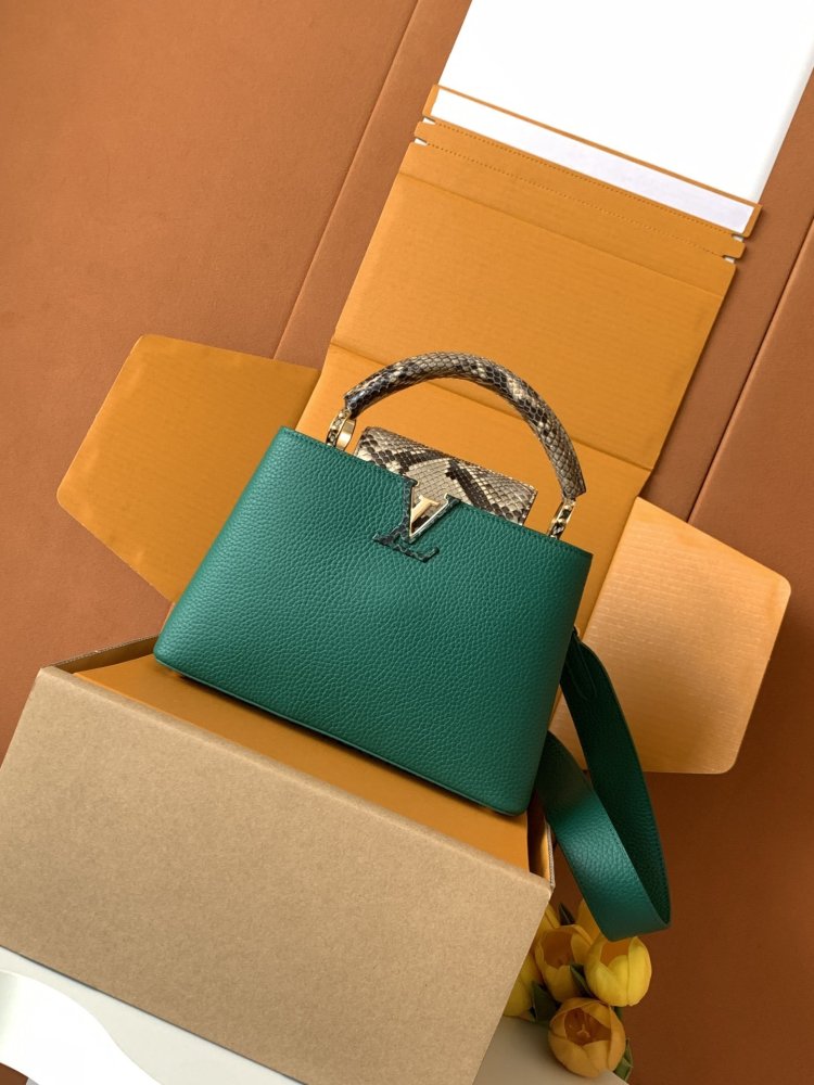 A bag Capucines BB 27 cm