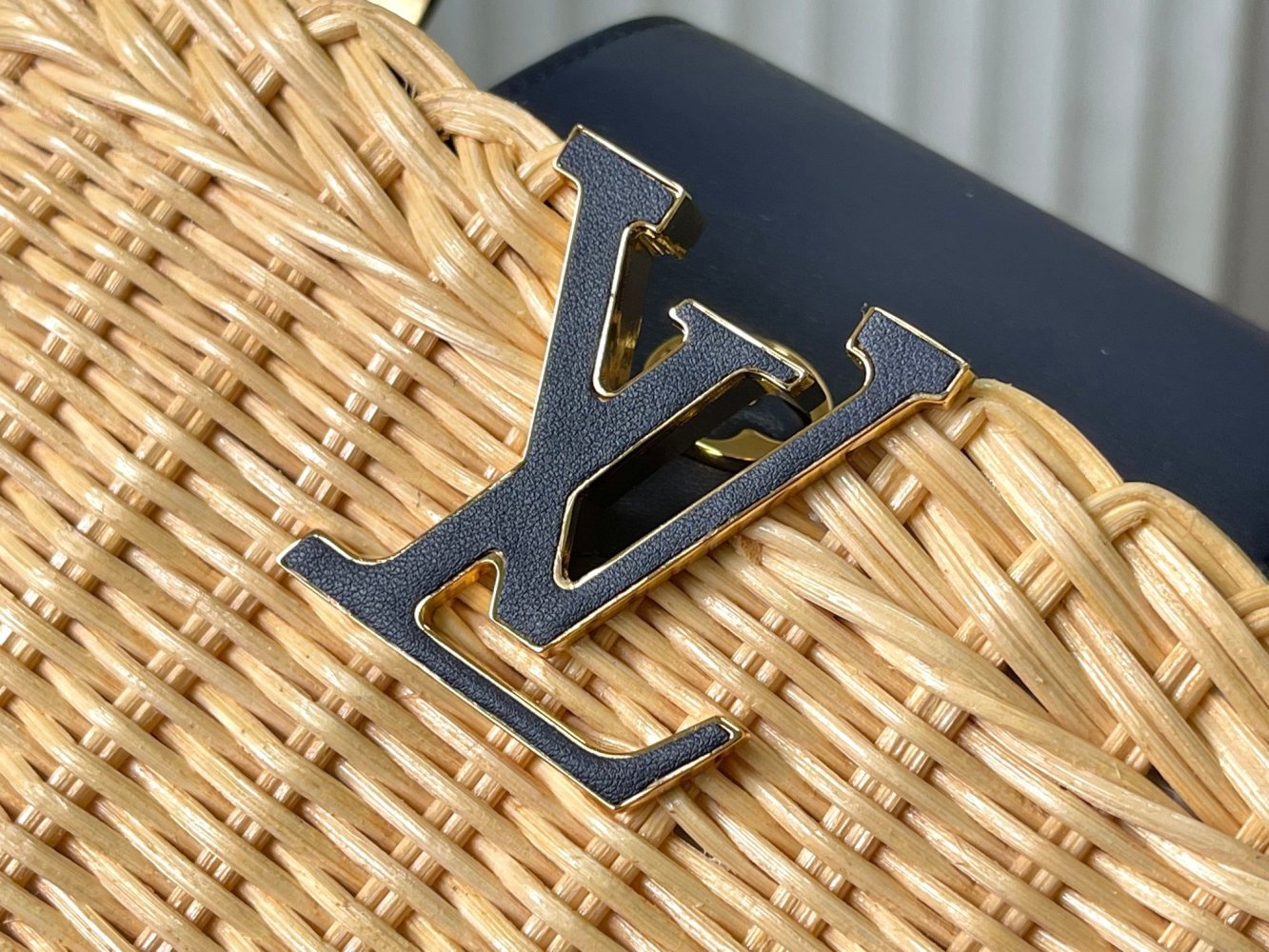 Сумка Capucines Picnic 21 см фото 4