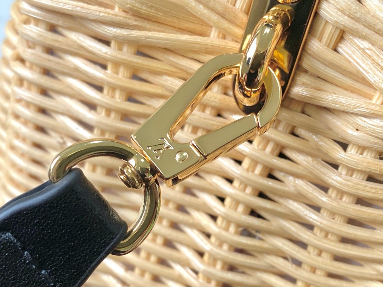 Сумка Capucines Picnic 21 см фото 5