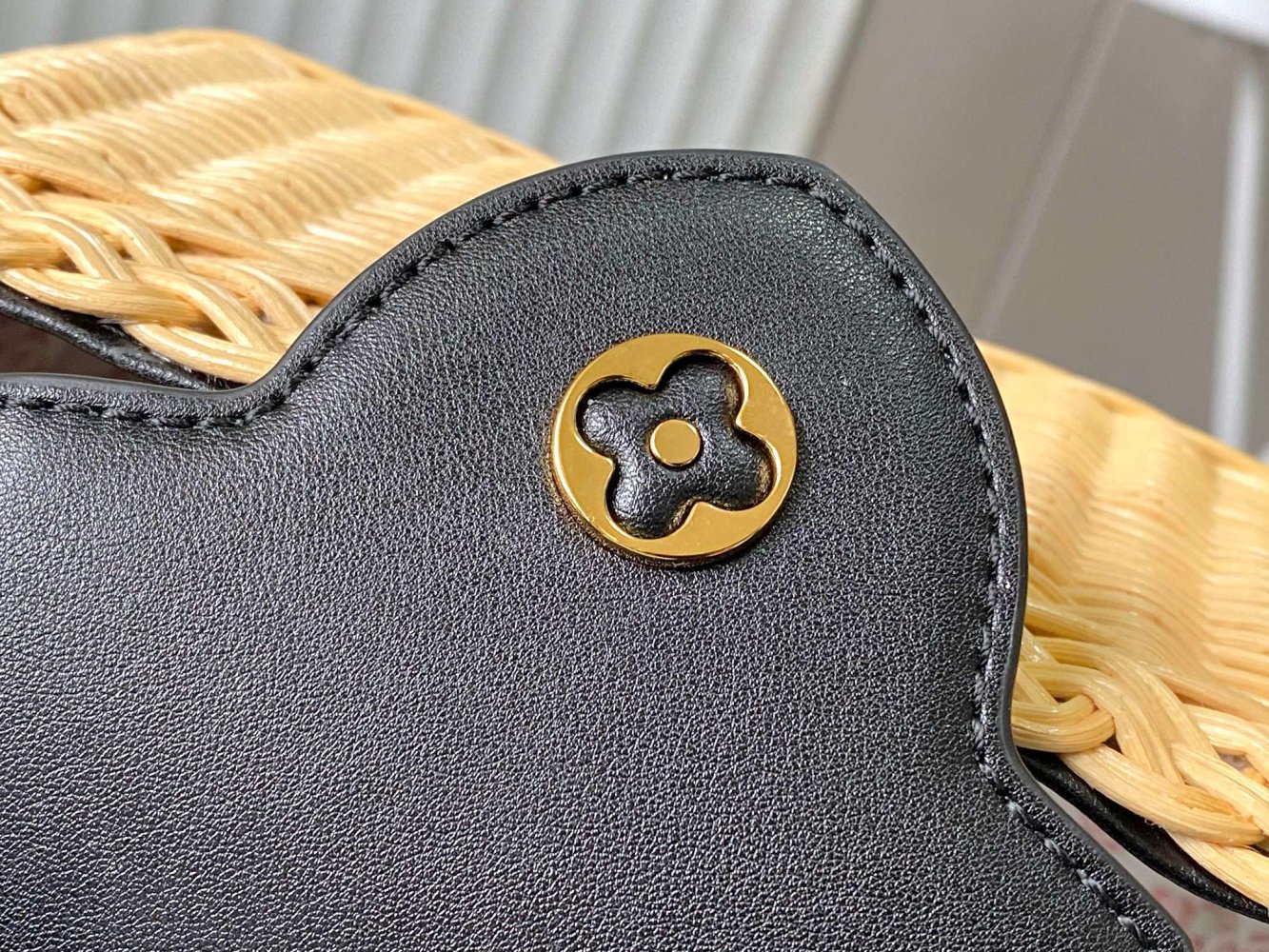 Сумка Capucines Picnic 21 см фото 6