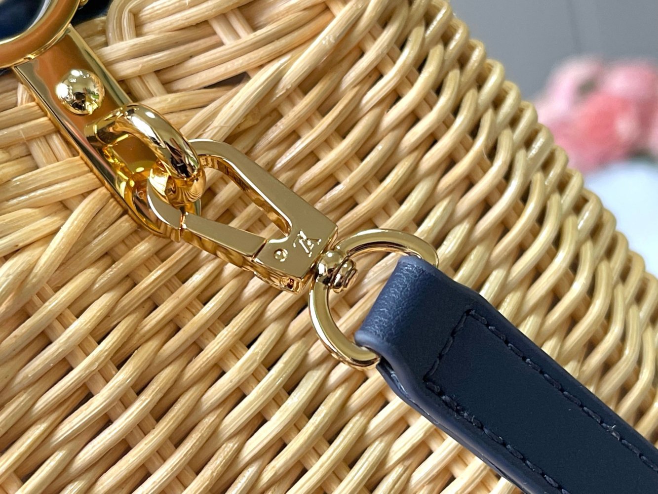 Сумка Capucines Picnic 21 см фото 7