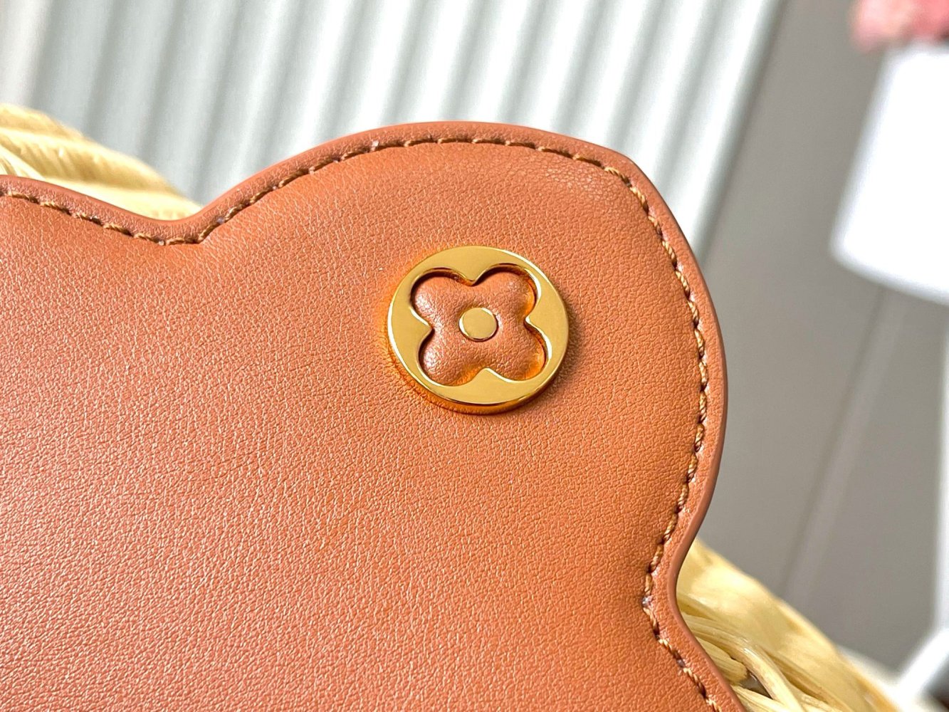 Сумка Capucines Picnic 21 см фото 8