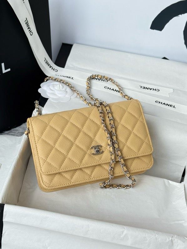 A bag Chanel WOC Fortune Bag 19 cm