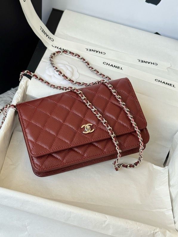 A bag Chanel WOC Fortune Bag 19 cm