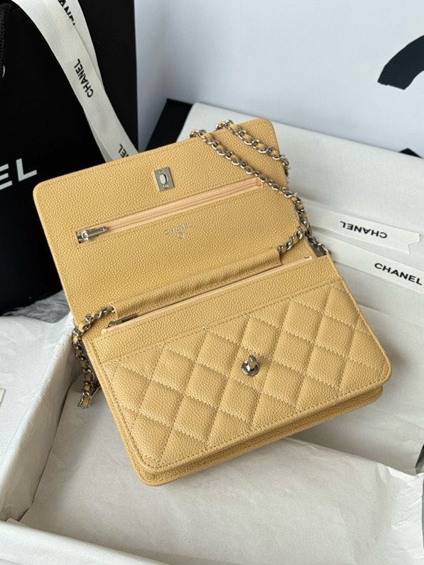 Сумка Chanel WOC Fortune Bag 19 см фото 2