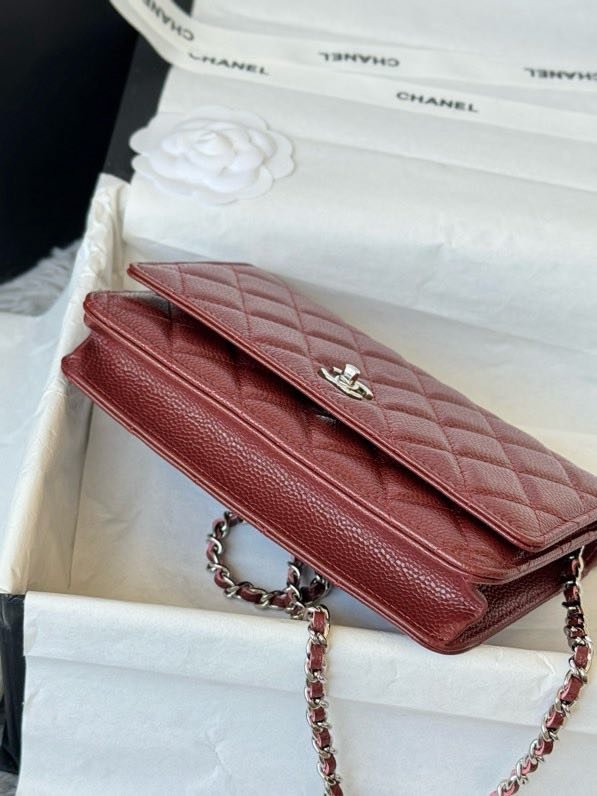 A bag Chanel WOC Fortune Bag 19 cm фото 2