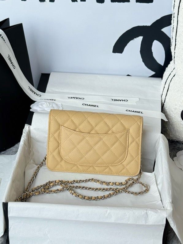 Сумка Chanel WOC Fortune Bag 19 см фото 3