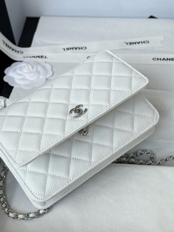 A bag Chanel WOC Fortune Bag 19 cm фото 3