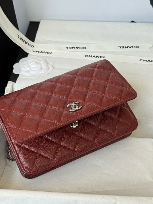 A bag Chanel WOC Fortune Bag 19 cm фото 3