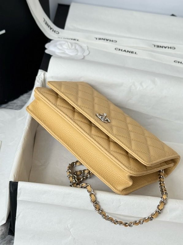 Сумка Chanel WOC Fortune Bag 19 см фото 4