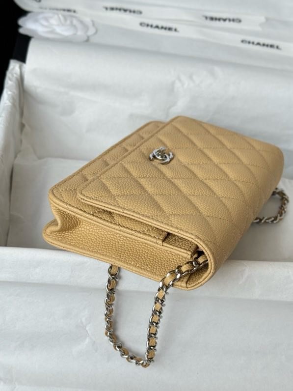 Сумка Chanel WOC Fortune Bag 19 см фото 5