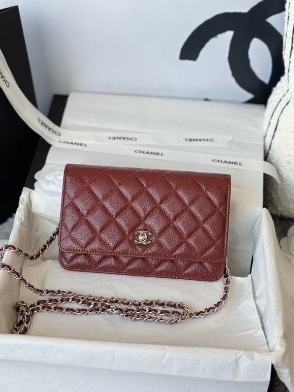 A bag Chanel WOC Fortune Bag 19 cm фото 5