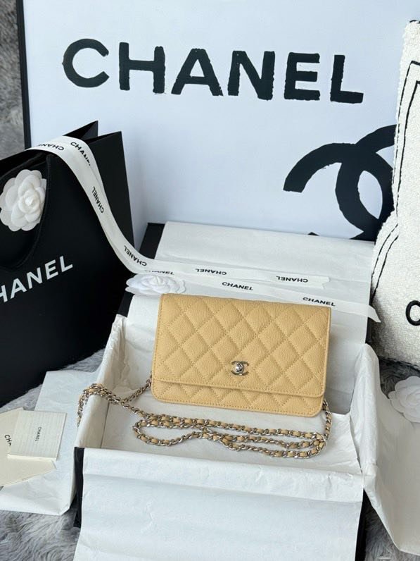 A bag Chanel WOC Fortune Bag 19 cm фото 6