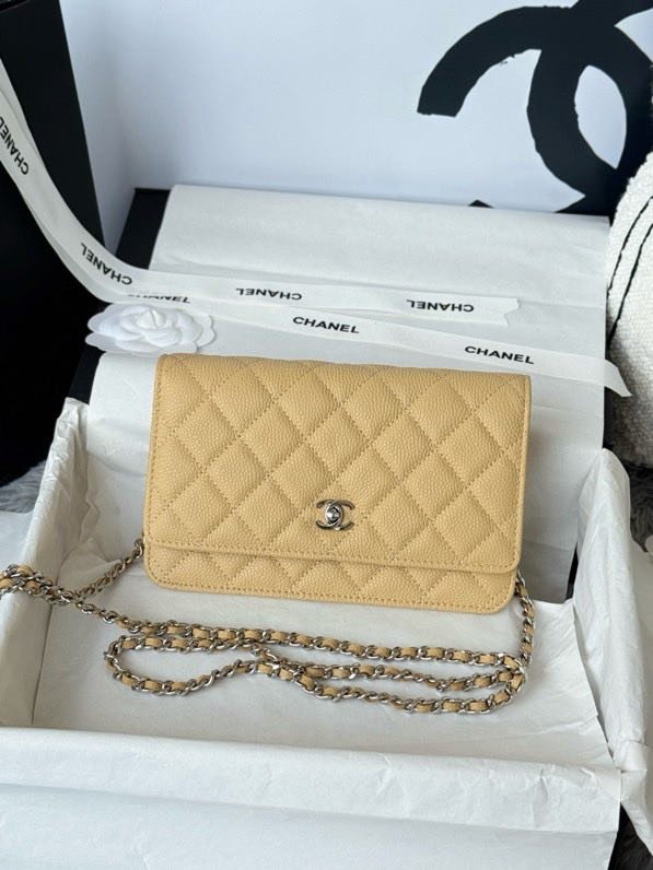 Сумка Chanel WOC Fortune Bag 19 см фото 7