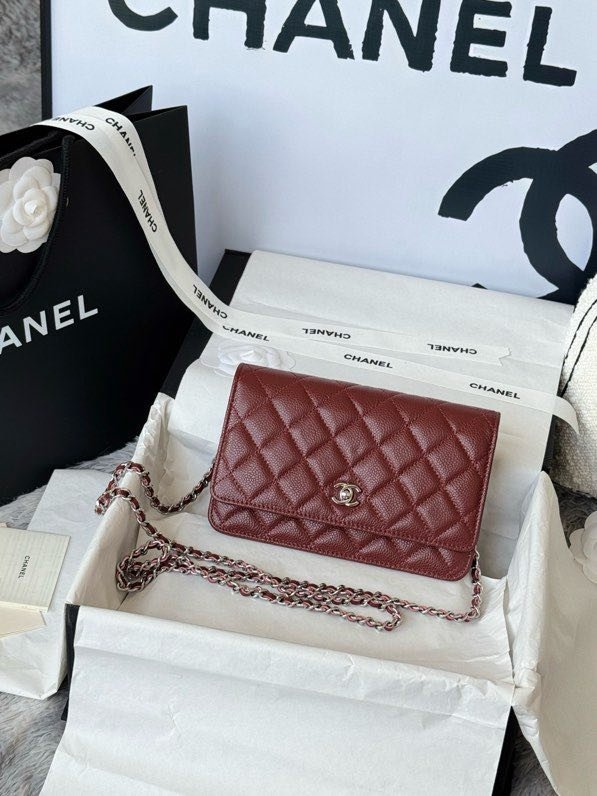 A bag Chanel WOC Fortune Bag 19 cm фото 8