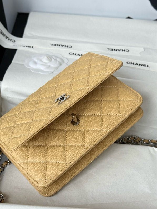 Сумка Chanel WOC Fortune Bag 19 см фото 9