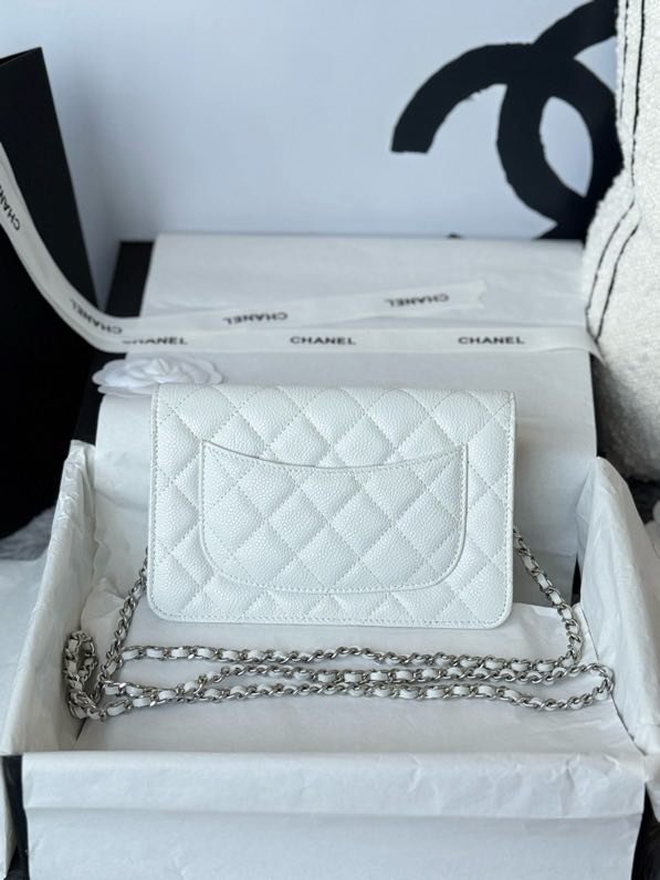 A bag Chanel WOC Fortune Bag 19 cm фото 9