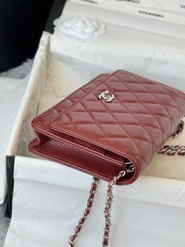 A bag Chanel WOC Fortune Bag 19 cm фото 9