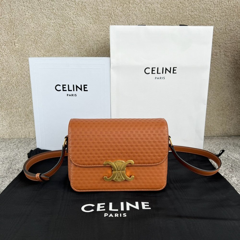 A bag across shoulder TEEN TRIOMPHE 18 cm of veal skin