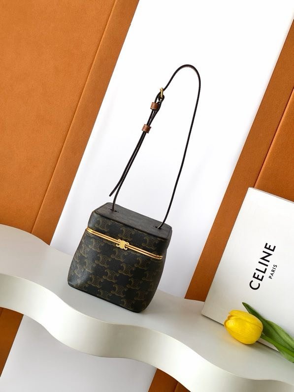 A bag beautician TRIOMPHE FRAME leather