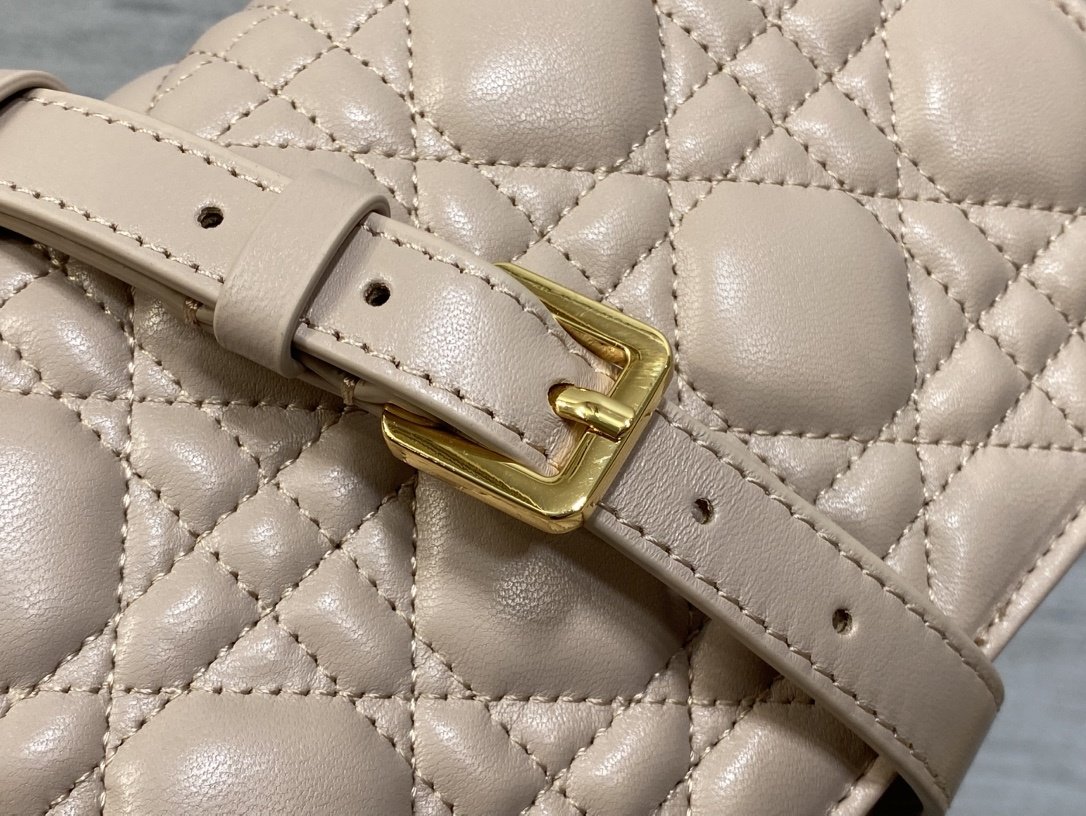 Сумка кожаная Dior Jolie 21 см фото 5