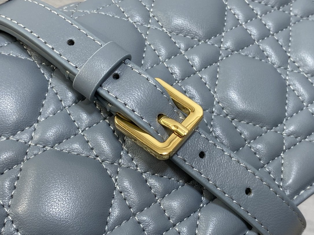 Сумка шкіряна Dior Jolie 21 см фото 5