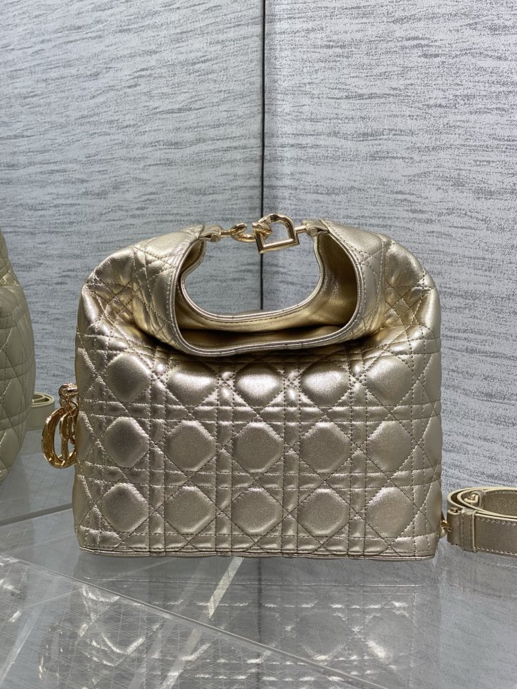 Сумка кожаная Dior Toujours Hobo 24 см