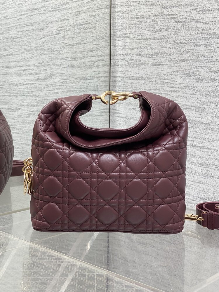 Сумка кожаная Dior Toujours Hobo 24 см