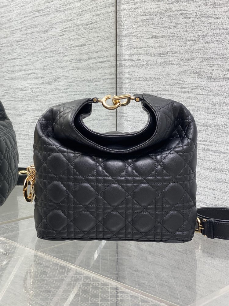 Сумка кожаная Dior Toujours Hobo 24 см