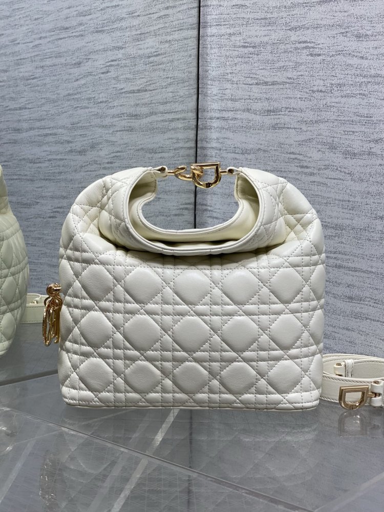 Сумка кожаная Dior Toujours Hobo 24 см