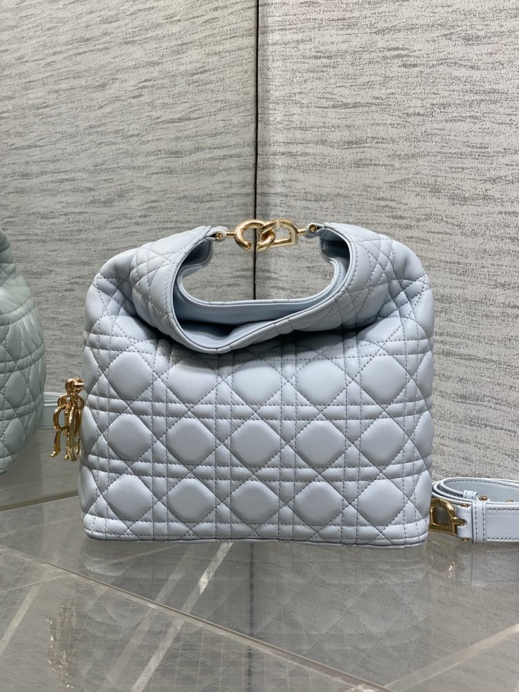 Сумка кожаная Dior Toujours Hobo 24 см