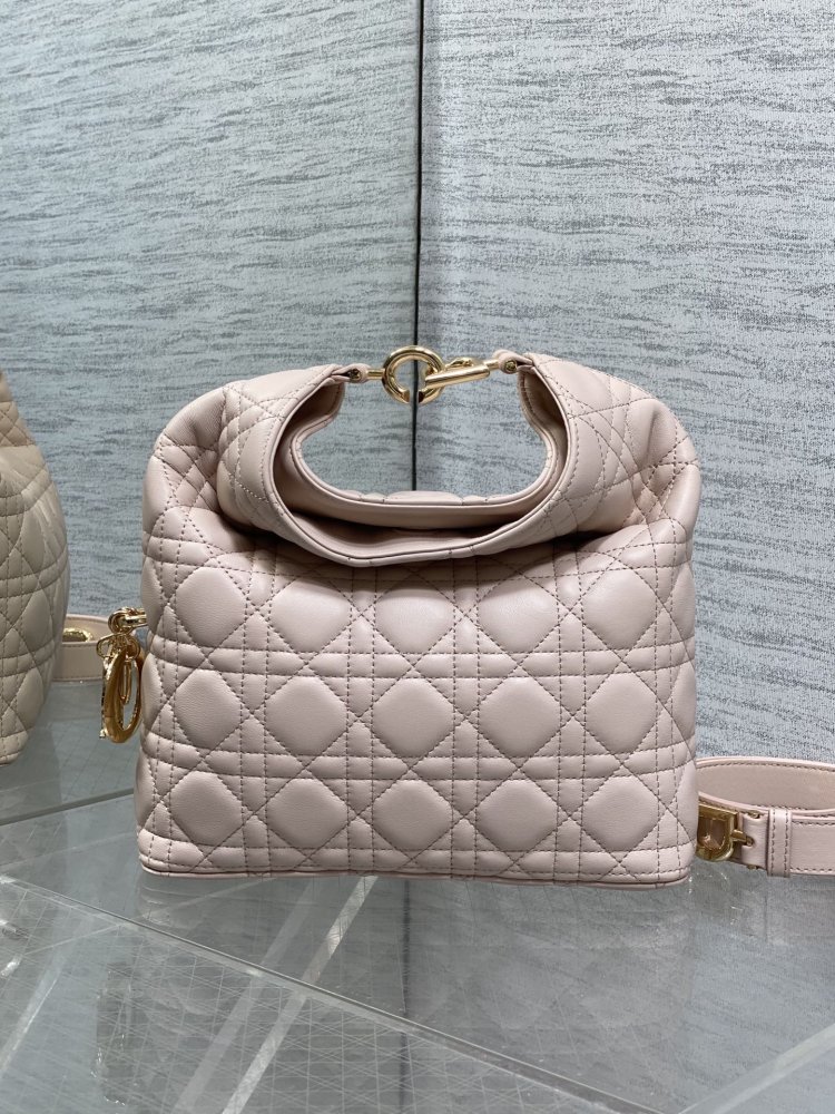 Сумка кожаная Dior Toujours Hobo 24 см